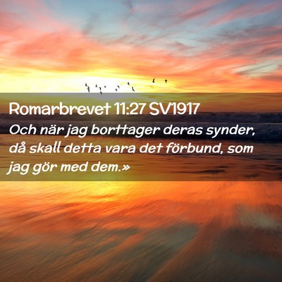 Picture 02 - Romarbrevet 11:27 SV1917 - Och när jag borttager deras synder, då skall - Bible Verse Picture