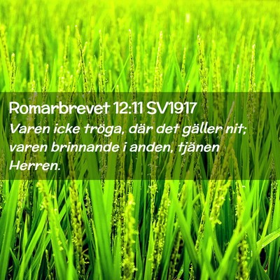 Picture 02 - Romarbrevet 12:11 SV1917 - Varen icke tröga, där det gäller nit; varen - Bible Verse Picture