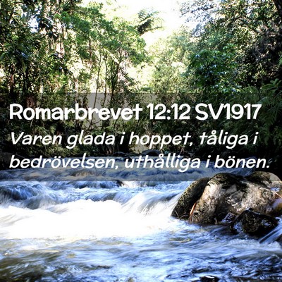 Picture 02 - Romarbrevet 12:12 SV1917 - Varen glada i hoppet, tåliga i bedrövelsen, - Bible Verse Picture