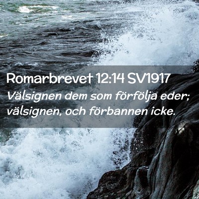 Picture 02 - Romarbrevet 12:14 SV1917 - Välsignen dem som förfölja eder; välsignen, - Bible Verse Picture