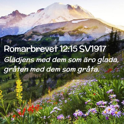 Picture 02 - Romarbrevet 12:15 SV1917 - Glädjens med dem som äro glada, gråten med dem - Bible Verse Picture