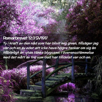 Picture 02 - Romarbrevet 12:3 SV1917 - Ty i kraft av den nåd som har blivit mig given, - Bible Verse Picture