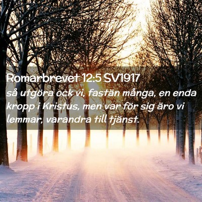 Picture 02 - Romarbrevet 12:5 SV1917 - så utgöra ock vi, fastän många, en enda kropp - Bible Verse Picture