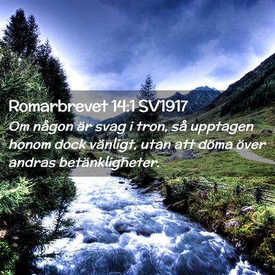 Picture 02 - Romarbrevet 14:1 SV1917 - Om någon är svag i tron, så upptagen honom - Bible Verse Picture