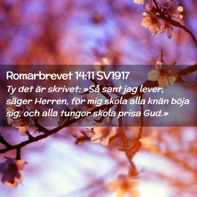 Picture 02 - Romarbrevet 14:11 SV1917 - Ty det är skrivet: »Så sant jag lever, säger - Bible Verse Picture