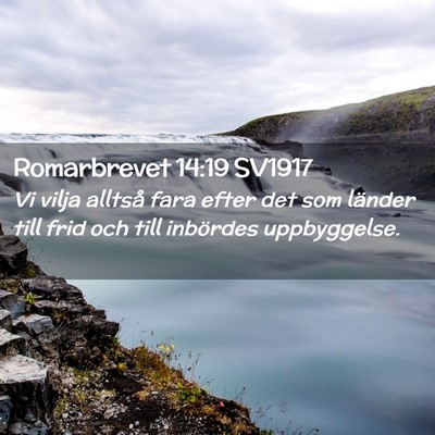 Picture 02 - Romarbrevet 14:19 SV1917 - Vi vilja alltså fara efter det som länder till - Bible Verse Picture