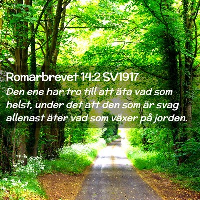 Picture 02 - Romarbrevet 14:2 SV1917 - Den ene har tro till att äta vad som helst, - Bible Verse Picture