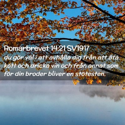 Picture 02 - Romarbrevet 14:21 SV1917 - du gör väl i att avhålla dig från att äta - Bible Verse Picture