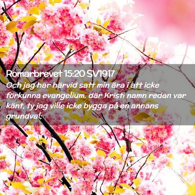 Picture 02 - Romarbrevet 15:20 SV1917 - Och jag har härvid satt min ära i att icke - Bible Verse Picture