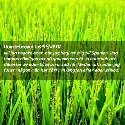 Picture 02 - Romarbrevet 15:24 SV1917 - vill jag besöka eder, när jag begiver mig till - Bible Verse Picture