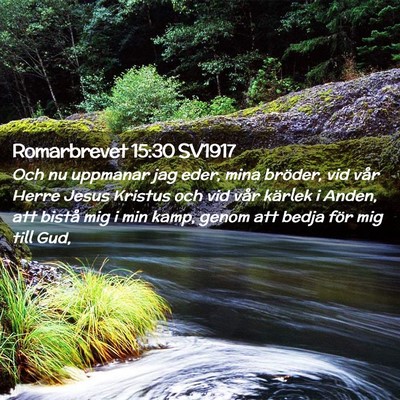 Picture 02 - Romarbrevet 15:30 SV1917 - Och nu uppmanar jag eder, mina bröder, vid vår - Bible Verse Picture