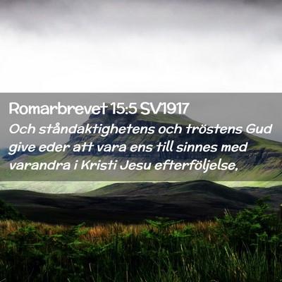 Picture 02 - Romarbrevet 15:5 SV1917 - Och ståndaktighetens och tröstens Gud give eder - Bible Verse Picture