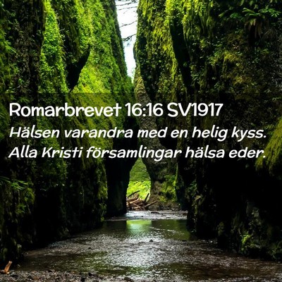 Picture 02 - Romarbrevet 16:16 SV1917 - Hälsen varandra med en helig kyss. Alla Kristi - Bible Verse Picture