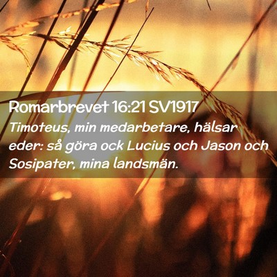 Picture 02 - Romarbrevet 16:21 SV1917 - Timoteus, min medarbetare, hälsar eder: så - Bible Verse Picture