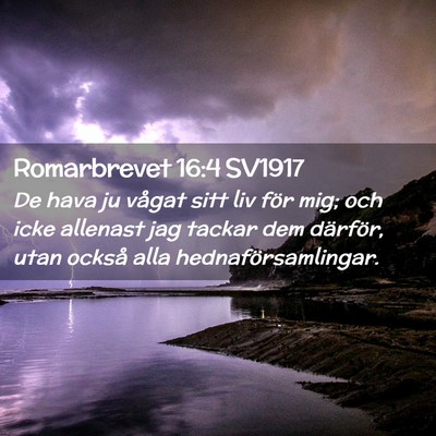 Picture 02 - Romarbrevet 16:4 SV1917 - De hava ju vågat sitt liv för mig; och icke - Bible Verse Picture