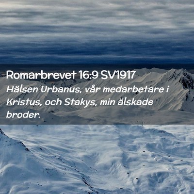 Picture 02 - Romarbrevet 16:9 SV1917 - Hälsen Urbanus, vår medarbetare i Kristus, och - Bible Verse Picture
