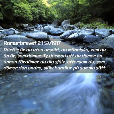 Picture 02 - Romarbrevet 2:1 SV1917 - Därför är du utan ursäkt, du människa, vem - Bible Verse Picture