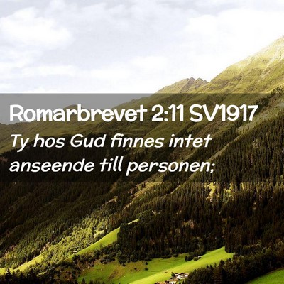 Picture 02 - Romarbrevet 2:11 SV1917 - Ty hos Gud finnes intet anseende till - Bible Verse Picture