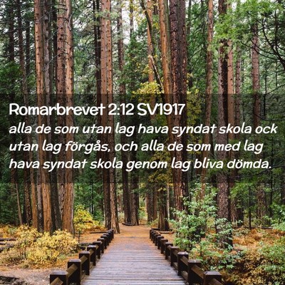 Picture 02 - Romarbrevet 2:12 SV1917 - alla de som utan lag hava syndat skola ock utan - Bible Verse Picture
