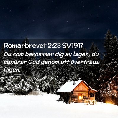 Picture 02 - Romarbrevet 2:23 SV1917 - Du som berömmer dig av lagen, du vanärar Gud - Bible Verse Picture
