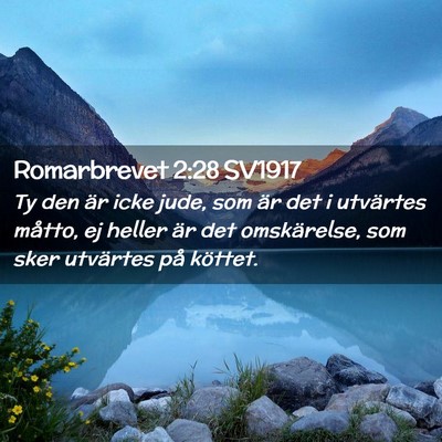 Picture 02 - Romarbrevet 2:28 SV1917 - Ty den är icke jude, som är det i utvärtes - Bible Verse Picture