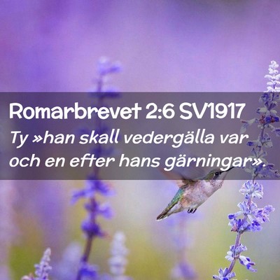 Picture 02 - Romarbrevet 2:6 SV1917 - Ty »han skall vedergälla var och en efter hans - Bible Verse Picture