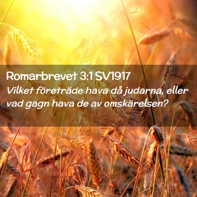 Picture 02 - Romarbrevet 3:1 SV1917 - Vilket företräde hava då judarna, eller vad - Bible Verse Picture