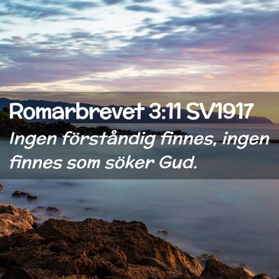 Picture 02 - Romarbrevet 3:11 SV1917 - Ingen förståndig finnes, ingen finnes som - Bible Verse Picture