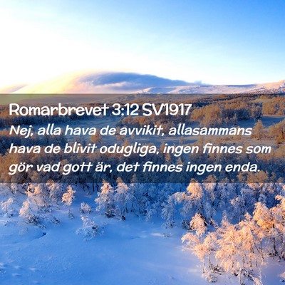 Picture 02 - Romarbrevet 3:12 SV1917 - Nej, alla hava de avvikit, allasammans hava de - Bible Verse Picture