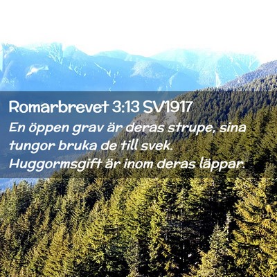 Picture 02 - Romarbrevet 3:13 SV1917 - En öppen grav är deras strupe, sina tungor - Bible Verse Picture
