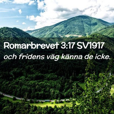 Picture 02 - Romarbrevet 3:17 SV1917 - och fridens väg känna de - Bible Verse Picture