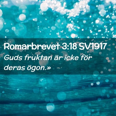 Picture 02 - Romarbrevet 3:18 SV1917 - Guds fruktan är icke för deras - Bible Verse Picture