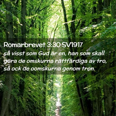 Picture 02 - Romarbrevet 3:30 SV1917 - så visst som Gud är en, han som skall göra de - Bible Verse Picture