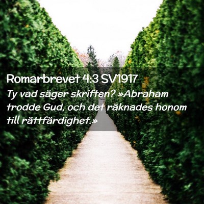 Picture 02 - Romarbrevet 4:3 SV1917 - Ty vad säger skriften? »Abraham trodde Gud, och - Bible Verse Picture