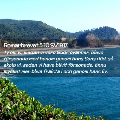 Picture 02 - Romarbrevet 5:10 SV1917 - Ty om vi, medan vi voro Guds ovänner, blevo - Bible Verse Picture
