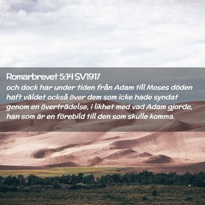 Picture 02 - Romarbrevet 5:14 SV1917 - och dock har under tiden från Adam till Moses - Bible Verse Picture