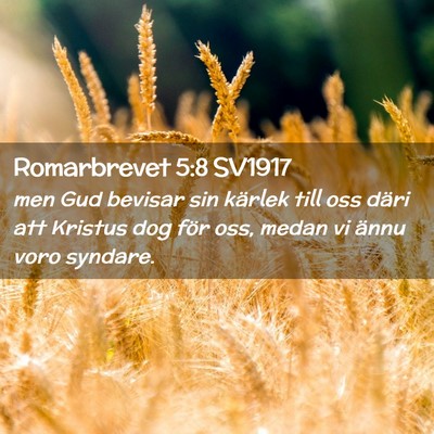 Picture 02 - Romarbrevet 5:8 SV1917 - men Gud bevisar sin kärlek till oss däri att - Bible Verse Picture