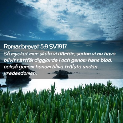 Picture 02 - Romarbrevet 5:9 SV1917 - Så mycket mer skola vi därför, sedan vi nu - Bible Verse Picture
