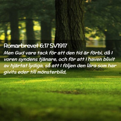 Picture 02 - Romarbrevet 6:17 SV1917 - Men Gud vare tack för att den tid är förbi, - Bible Verse Picture
