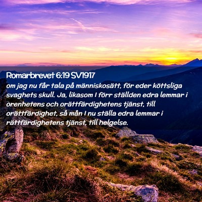 Picture 02 - Romarbrevet 6:19 SV1917 - om jag nu får tala på människosätt, för eder - Bible Verse Picture