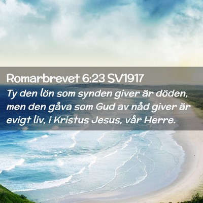 Picture 02 - Romarbrevet 6:23 SV1917 - Ty den lön som synden giver är döden, men den - Bible Verse Picture