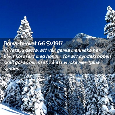 Picture 02 - Romarbrevet 6:6 SV1917 - Vi veta ju detta, att vår gamla människa har - Bible Verse Picture