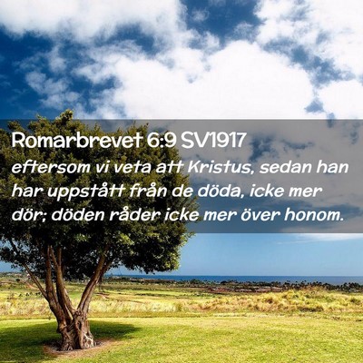 Picture 02 - Romarbrevet 6:9 SV1917 - eftersom vi veta att Kristus, sedan han har - Bible Verse Picture