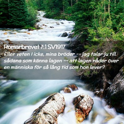 Picture 02 - Romarbrevet 7:1 SV1917 - Eller veten I icke, mina bröder -- jag talar ju - Bible Verse Picture