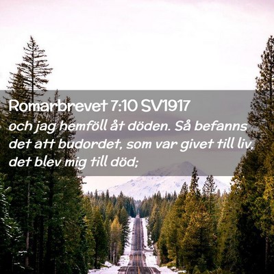 Picture 02 - Romarbrevet 7:10 SV1917 - och jag hemföll åt döden. Så befanns det att - Bible Verse Picture