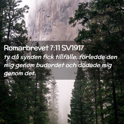 Picture 02 - Romarbrevet 7:11 SV1917 - ty då synden fick tillfälle, förledde den mig - Bible Verse Picture