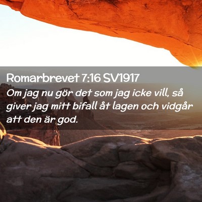 Picture 02 - Romarbrevet 7:16 SV1917 - Om jag nu gör det som jag icke vill, så giver - Bible Verse Picture