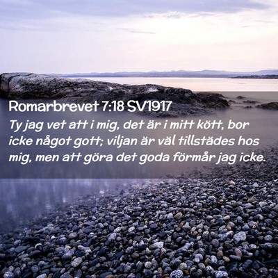 Picture 02 - Romarbrevet 7:18 SV1917 - Ty jag vet att i mig, det är i mitt kött, bor - Bible Verse Picture