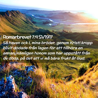 Picture 02 - Romarbrevet 7:4 SV1917 - Så haven ock I, mina bröder, genom Kristi kropp - Bible Verse Picture