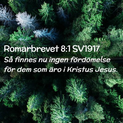Picture 02 - Romarbrevet 8:1 SV1917 - Så finnes nu ingen fördömelse för dem som - Bible Verse Picture